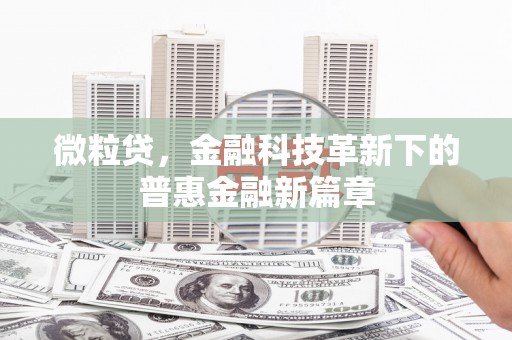 石排微粒贷，金融科技革新下的普惠金融新篇章