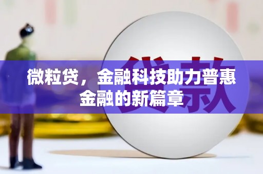石排微粒贷，金融科技助力普惠金融的新篇章