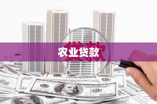 石排农业贷款