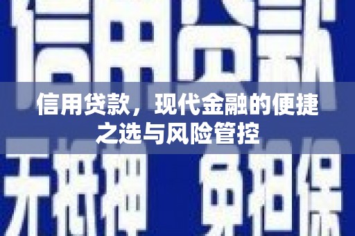 石排信用贷款，现代金融的便捷之选与风险管控