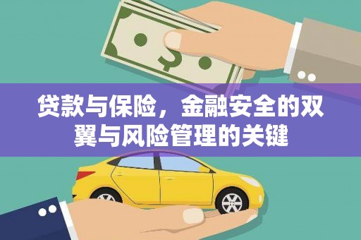 石排贷款与保险，金融安全的双翼与风险管理的关键