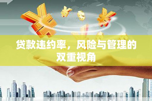 石排贷款违约率，风险与管理的双重视角