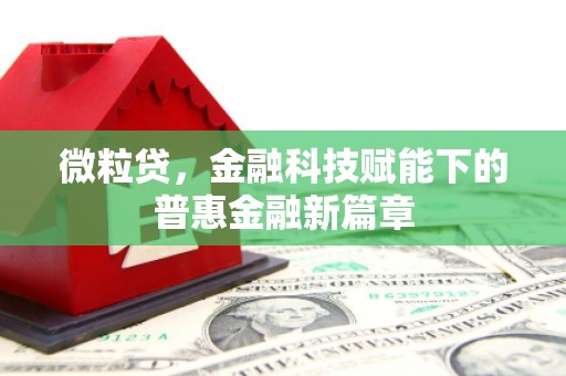 石排微粒贷，金融科技赋能下的普惠金融新篇章