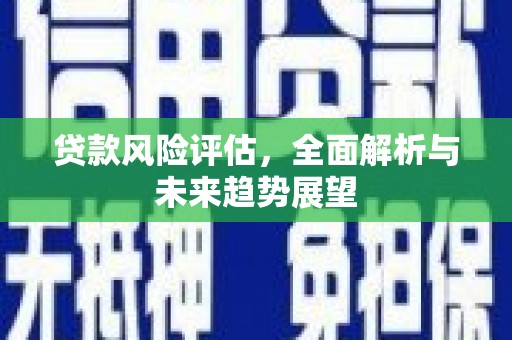 石排贷款风险评估，全面解析与未来趋势展望