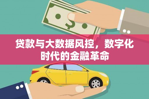石排贷款与大数据风控，数字化时代的金融革命