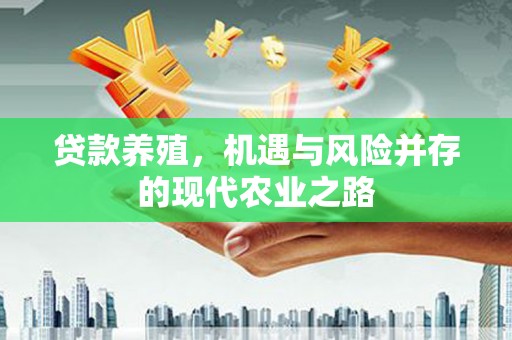石排贷款养殖，机遇与风险并存的现代农业之路