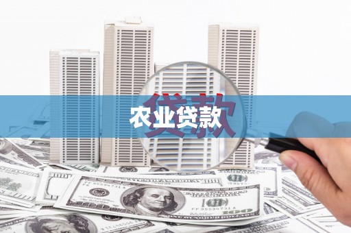 石排农业贷款
