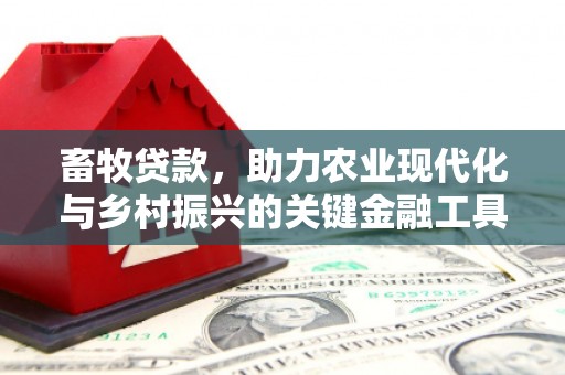 石排畜牧贷款，助力农业现代化与乡村振兴的关键金融工具