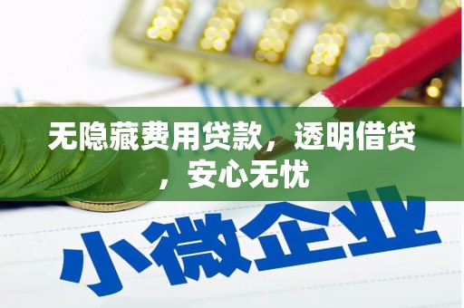 石排无隐藏费用贷款，透明借贷，安心无忧
