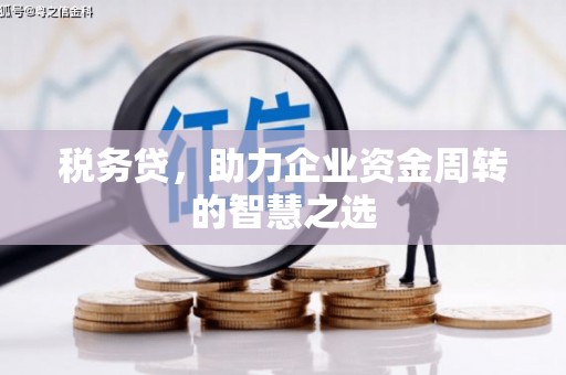 石排税务贷，助力企业资金周转的智慧之选