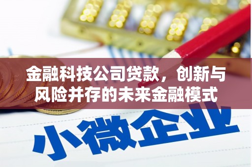 石排金融科技公司贷款，创新与风险并存的未来金融模式