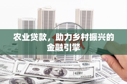 石排农业贷款，助力乡村振兴的金融引擎