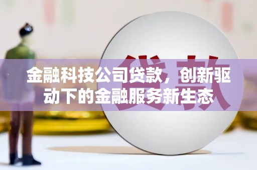 石排金融科技公司贷款，创新驱动下的金融服务新生态