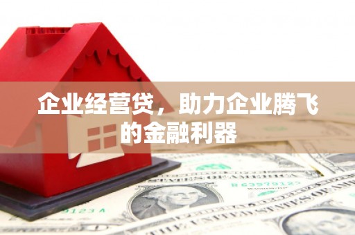 石排企业经营贷，助力企业腾飞的金融利器