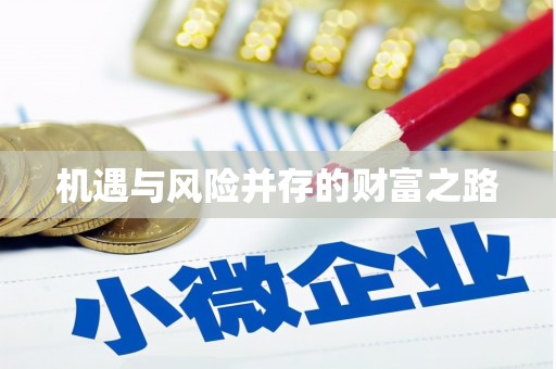 石排机遇与风险并存的财富之路