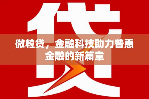 石排微粒贷，金融科技助力普惠金融的新篇章