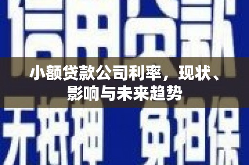 石排小额贷款公司利率，现状、影响与未来趋势