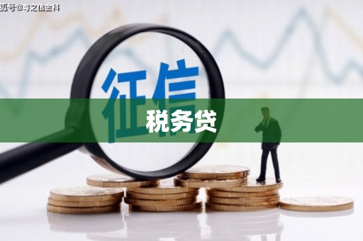 石排税务贷