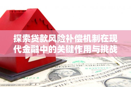 石排探索贷款风险补偿机制在现代金融中的关键作用与挑战
