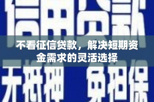 石排不看征信贷款，解决短期资金需求的灵活选择