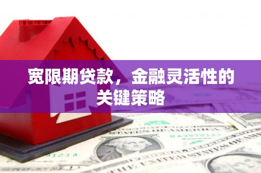 石排宽限期贷款，金融灵活性的关键策略