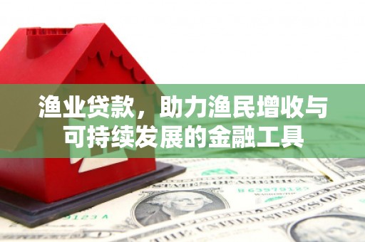 石排渔业贷款，助力渔民增收与可持续发展的金融工具