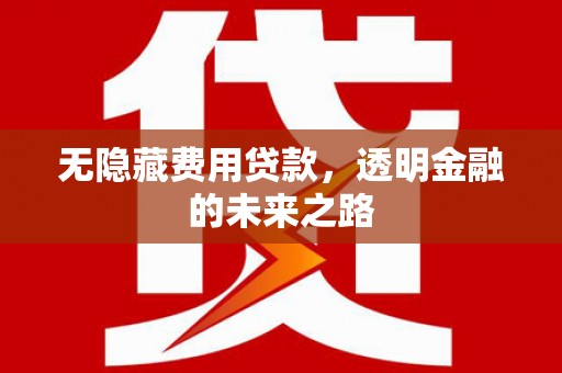 石排无隐藏费用贷款，透明金融的未来之路