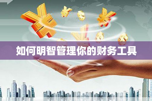 石排如何明智管理你的财务工具