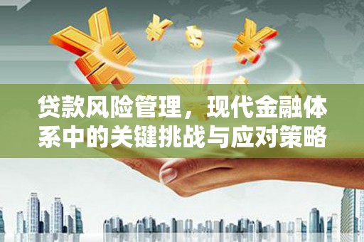 石排贷款风险管理，现代金融体系中的关键挑战与应对策略