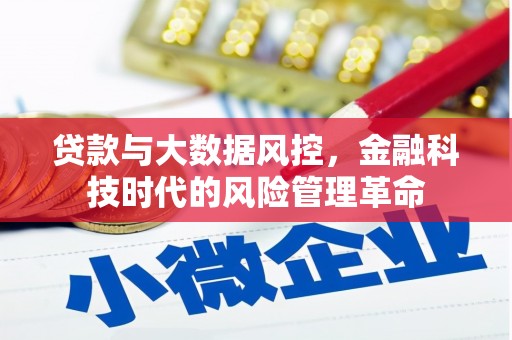 石排贷款与大数据风控，金融科技时代的风险管理革命