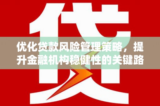 石排优化贷款风险管理策略，提升金融机构稳健性的关键路径
