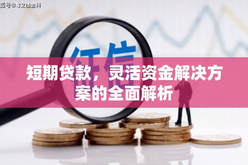 石排短期贷款，灵活资金解决方案的全面解析