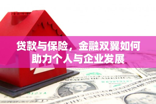 石排贷款与保险，金融双翼如何助力个人与企业发展