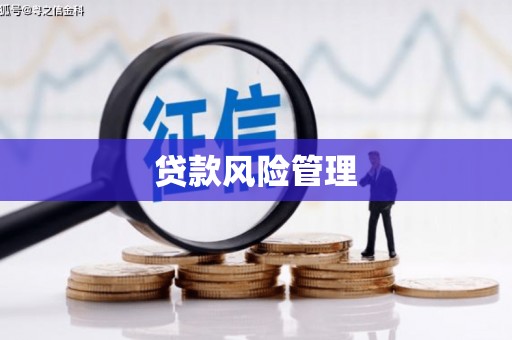 石排贷款风险管理
