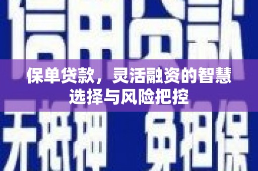 石排保单贷款，灵活融资的智慧选择与风险把控