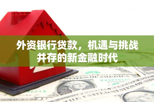 石排外资银行贷款，机遇与挑战并存的新金融时代