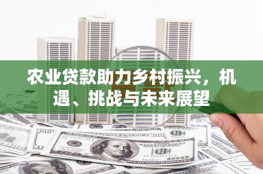 石排农业贷款助力乡村振兴，机遇、挑战与未来展望