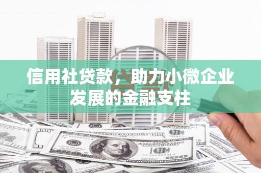 石排信用社贷款，助力小微企业发展的金融支柱