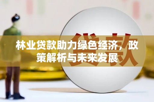 石排林业贷款助力绿色经济，政策解析与未来发展