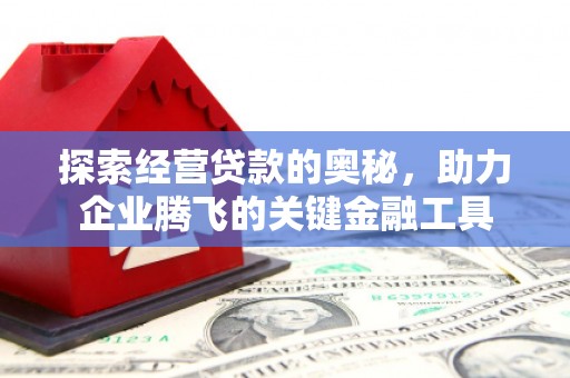 石排探索经营贷款的奥秘，助力企业腾飞的关键金融工具