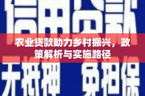 石排农业贷款助力乡村振兴，政策解析与实施路径