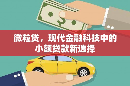 石排微粒贷，现代金融科技中的小额贷款新选择
