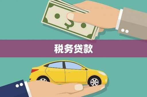 石排税务贷款