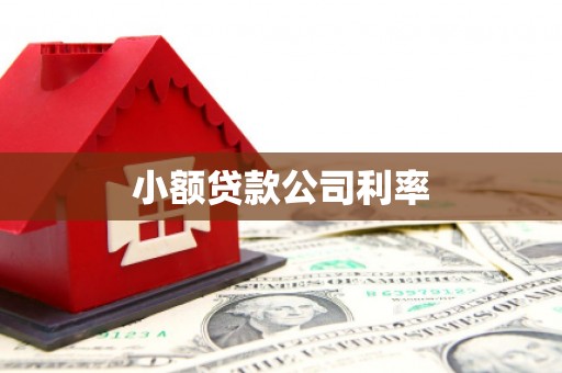 石排小额贷款公司利率