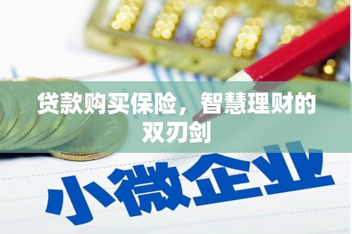 石排贷款购买保险，智慧理财的双刃剑