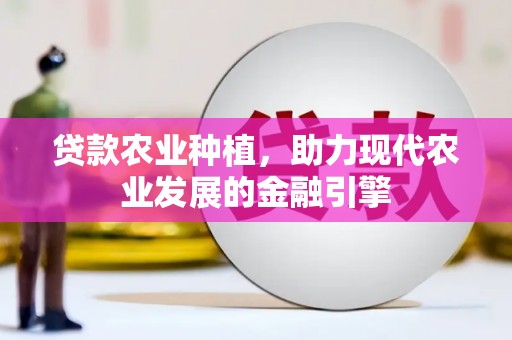 石排贷款农业种植，助力现代农业发展的金融引擎