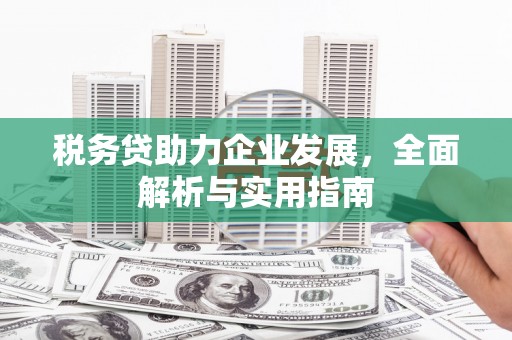 石排税务贷助力企业发展，全面解析与实用指南