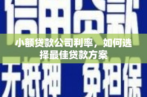 石排小额贷款公司利率，如何选择最佳贷款方案