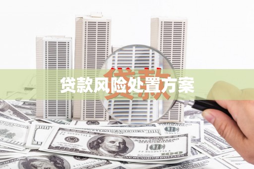 石排贷款风险处置方案