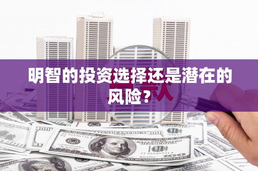 石排明智的投资选择还是潜在的风险？